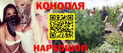 прущие грибы Пугачёв