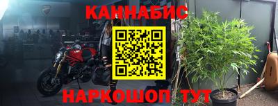 прущие грибы Пугачёв