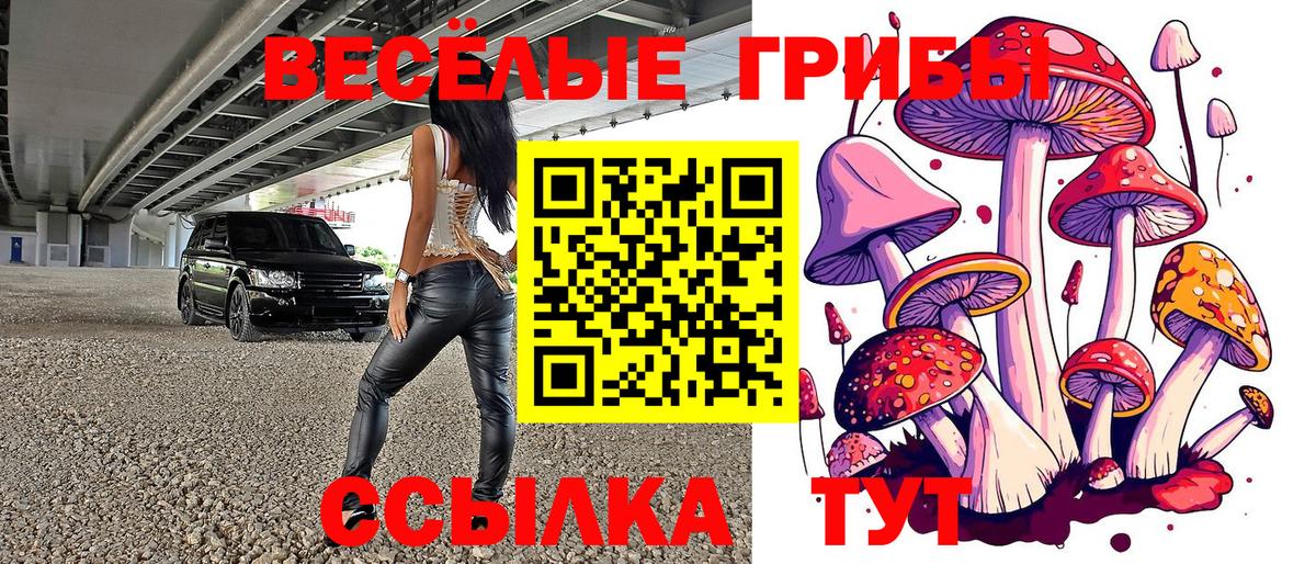 Галлюциногенные грибы Cubensis Тамбов