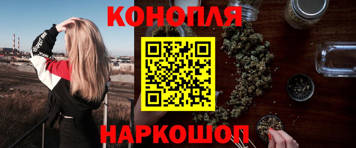 Бошки Шишки планчик Тамбов